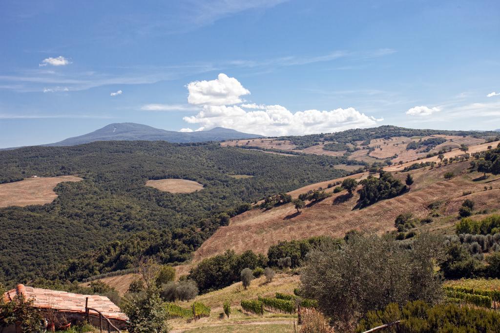Podere Casella Villa Castiglione dʼOrcia Екстериор снимка